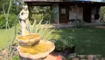 Bed and Breakfast Back Forty Of Fredericksburg Exterior foto