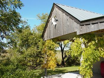 Bed and Breakfast Back Forty Of Fredericksburg Exterior foto